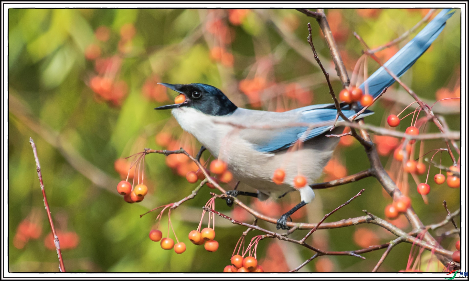 IMG_7736 ����.jpg