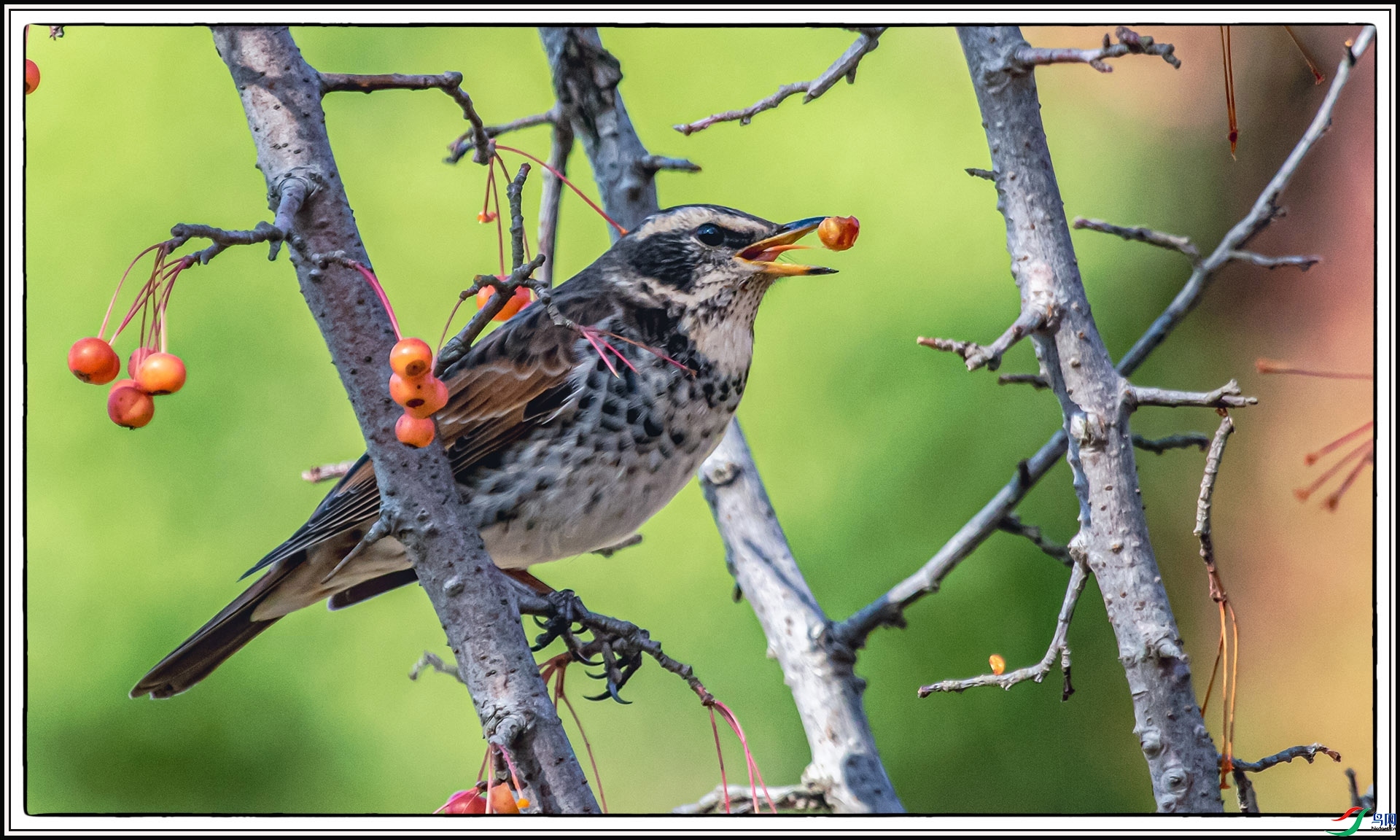 IMG_7358 ����.jpg