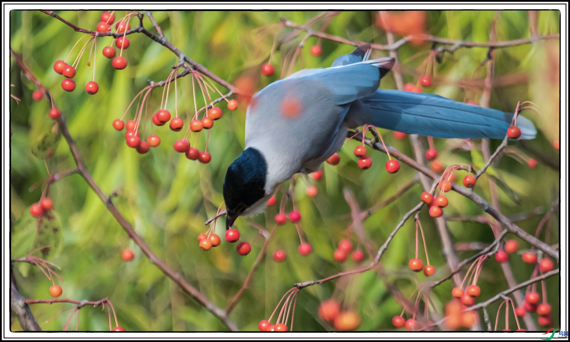 IMG_8030 ����.jpg