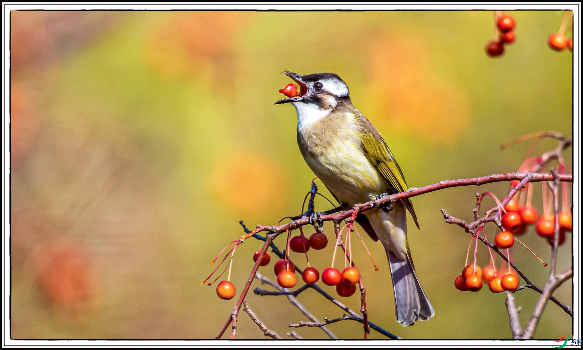 IMG_8976 ����.jpg