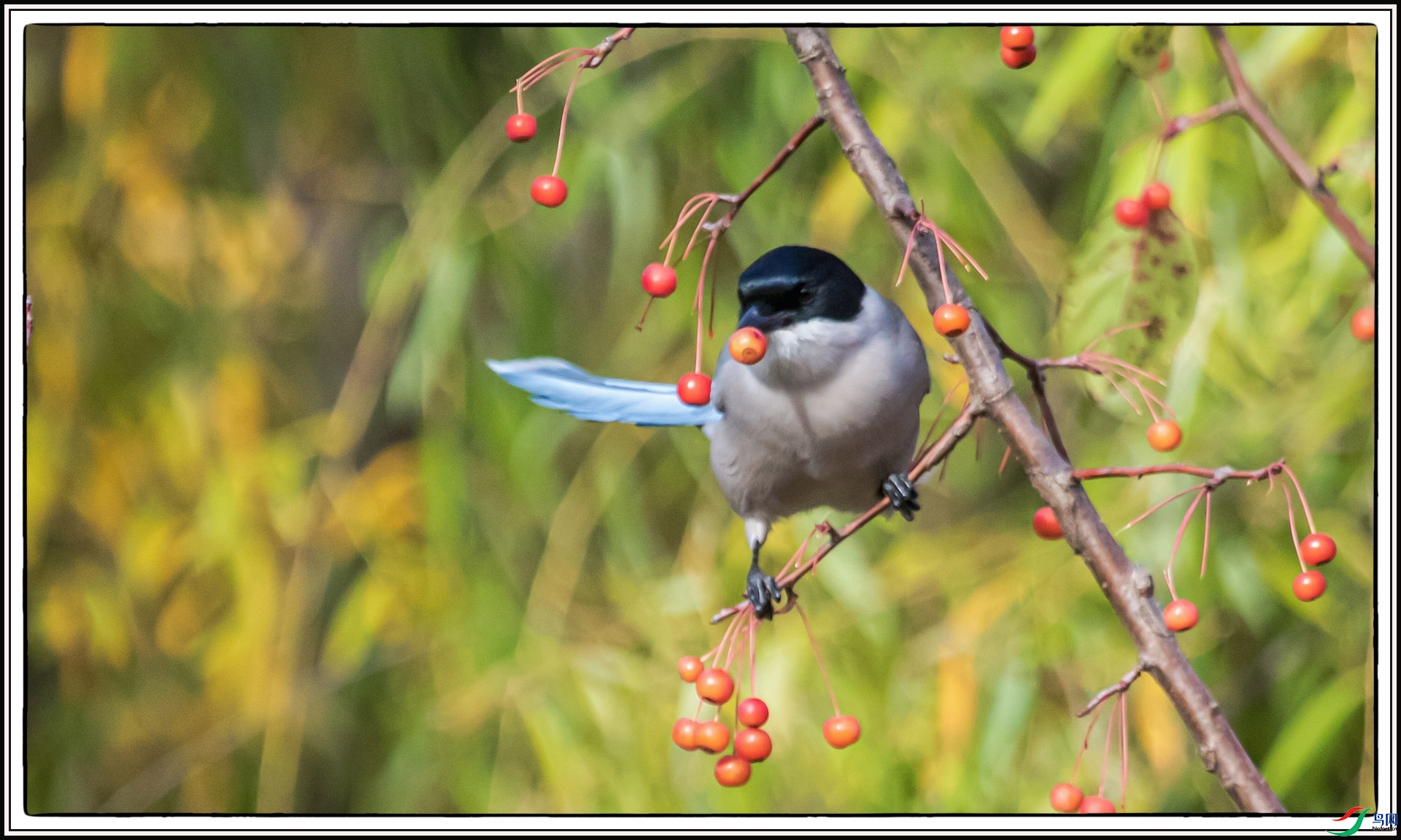 IMG_8007 ����.jpg