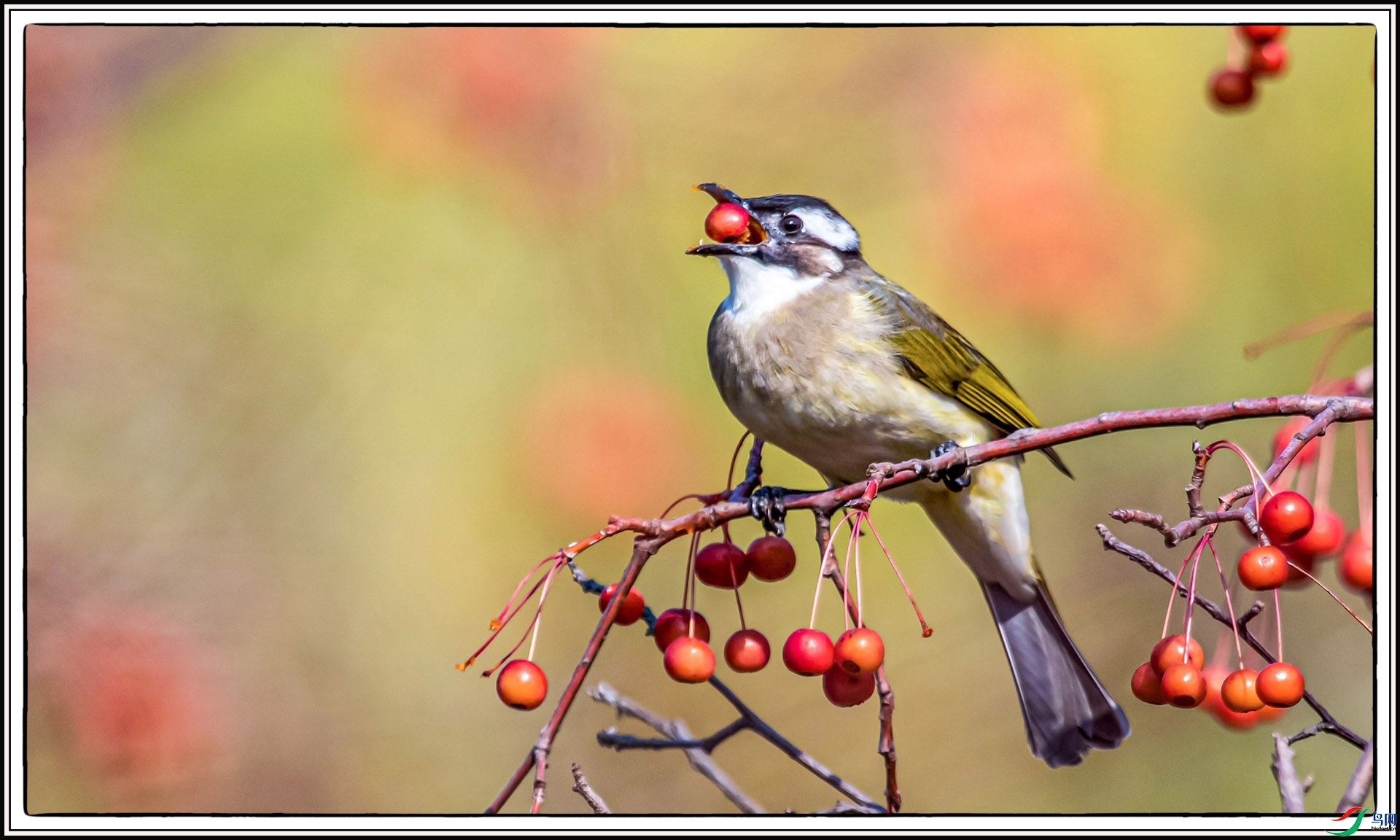 IMG_8929 ����.jpg