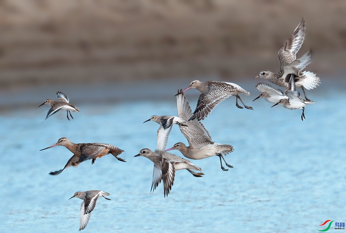 _DSC8188 - ����.JPG