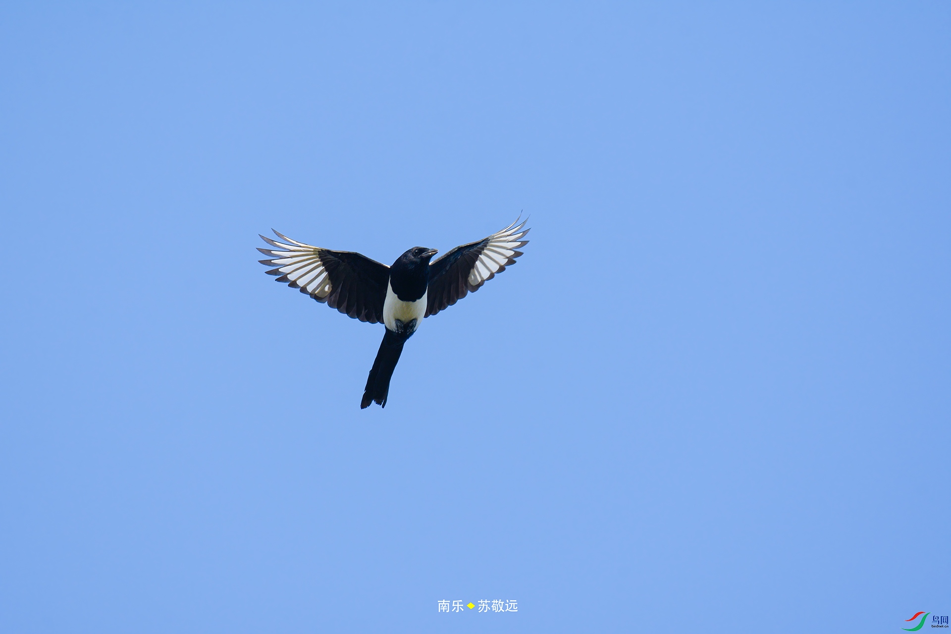_DSC0594С.jpg