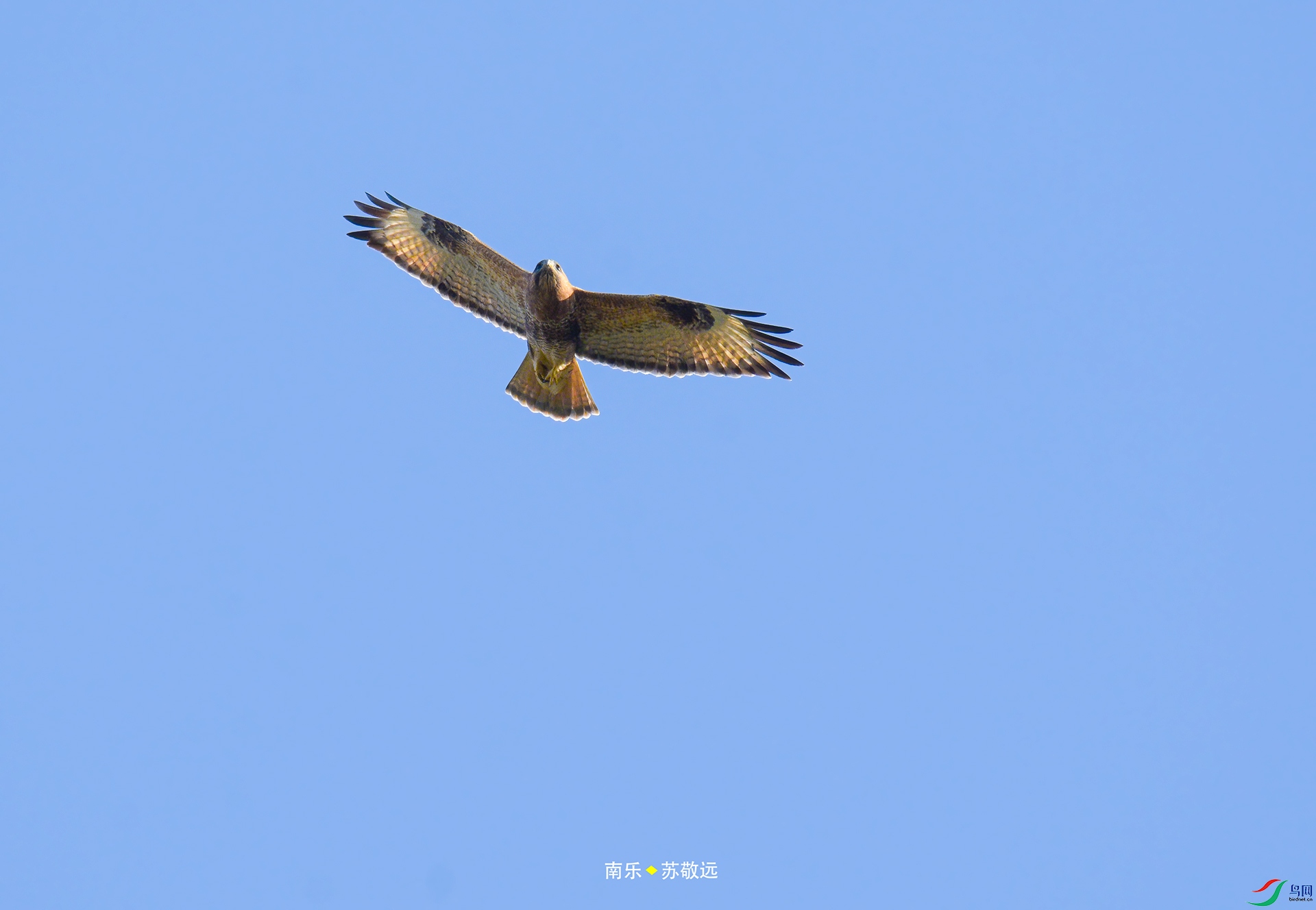 _DSC0306С.jpg