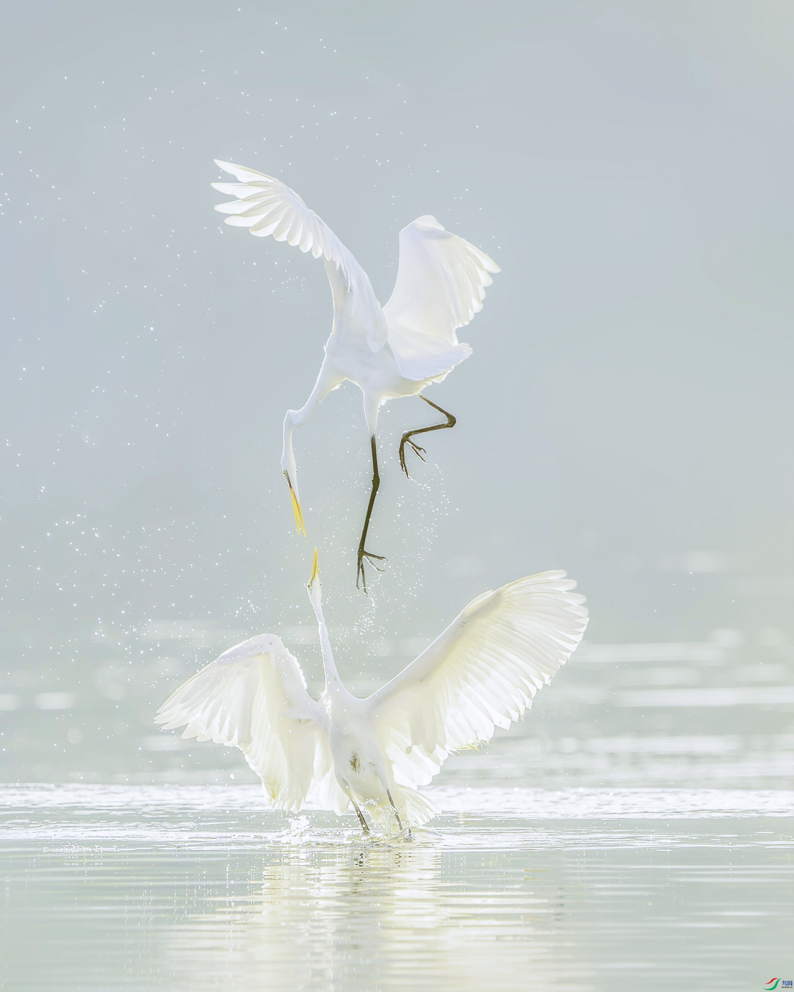 _ZZX0756 ���� 311.jpg