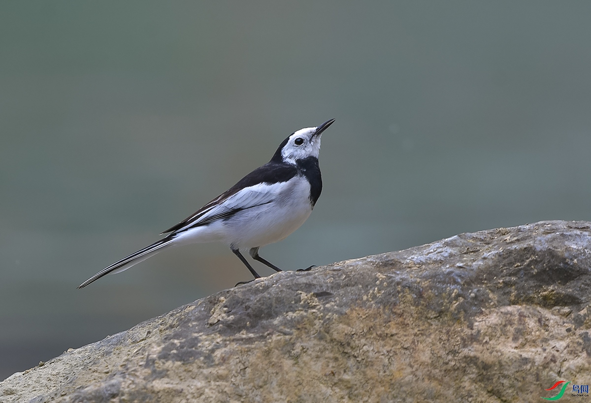 DSC_0914.JPG