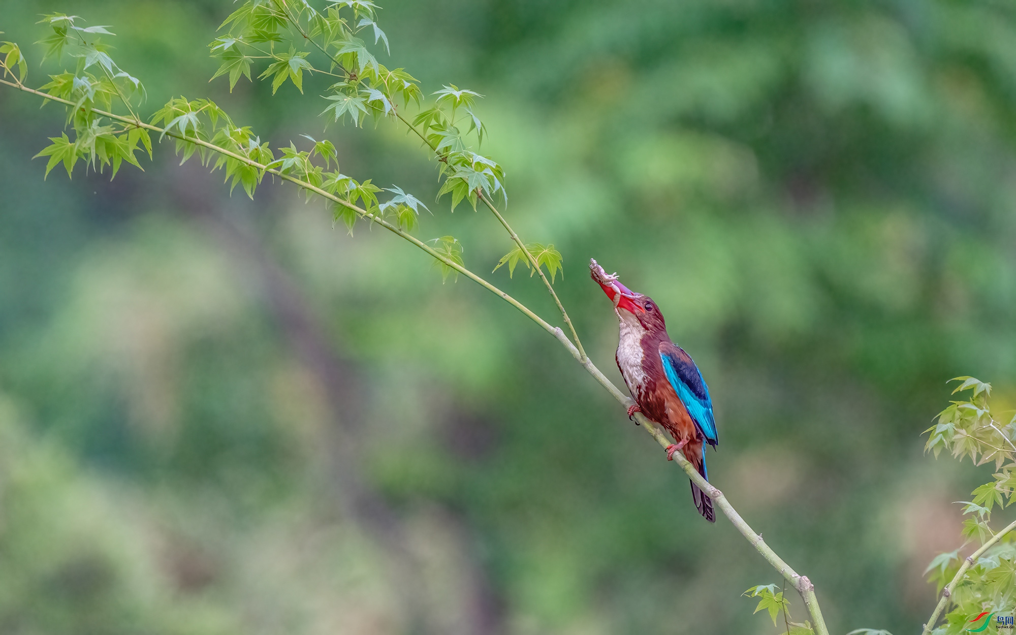 �������DSC03834-1.jpg