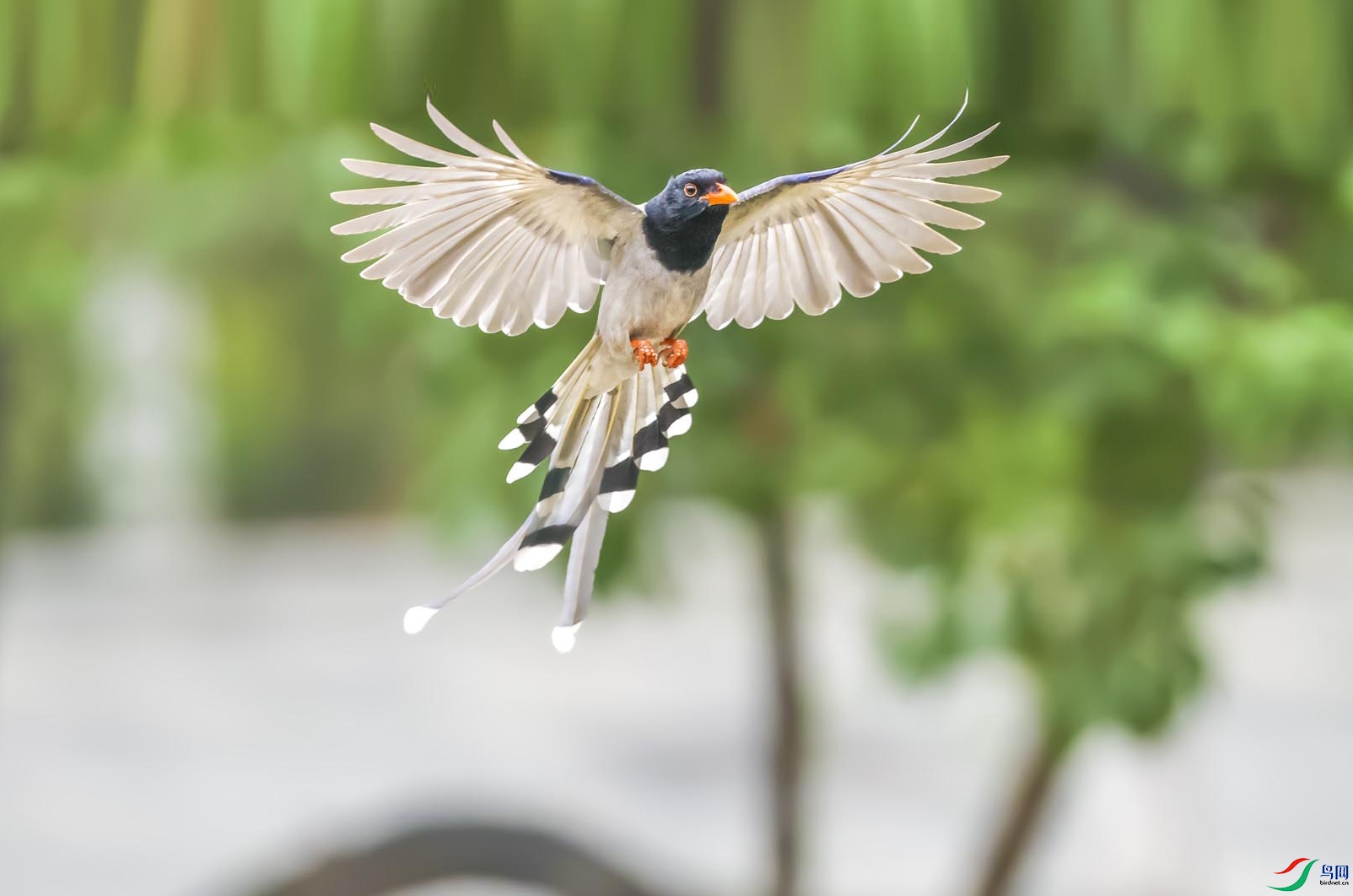 7M0A6307-1AAAAA ����222.jpg