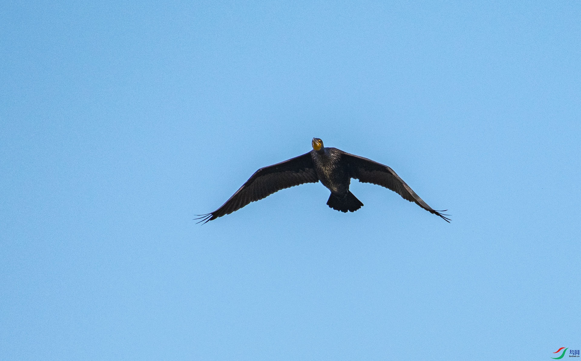 DSC_3156_1.jpg