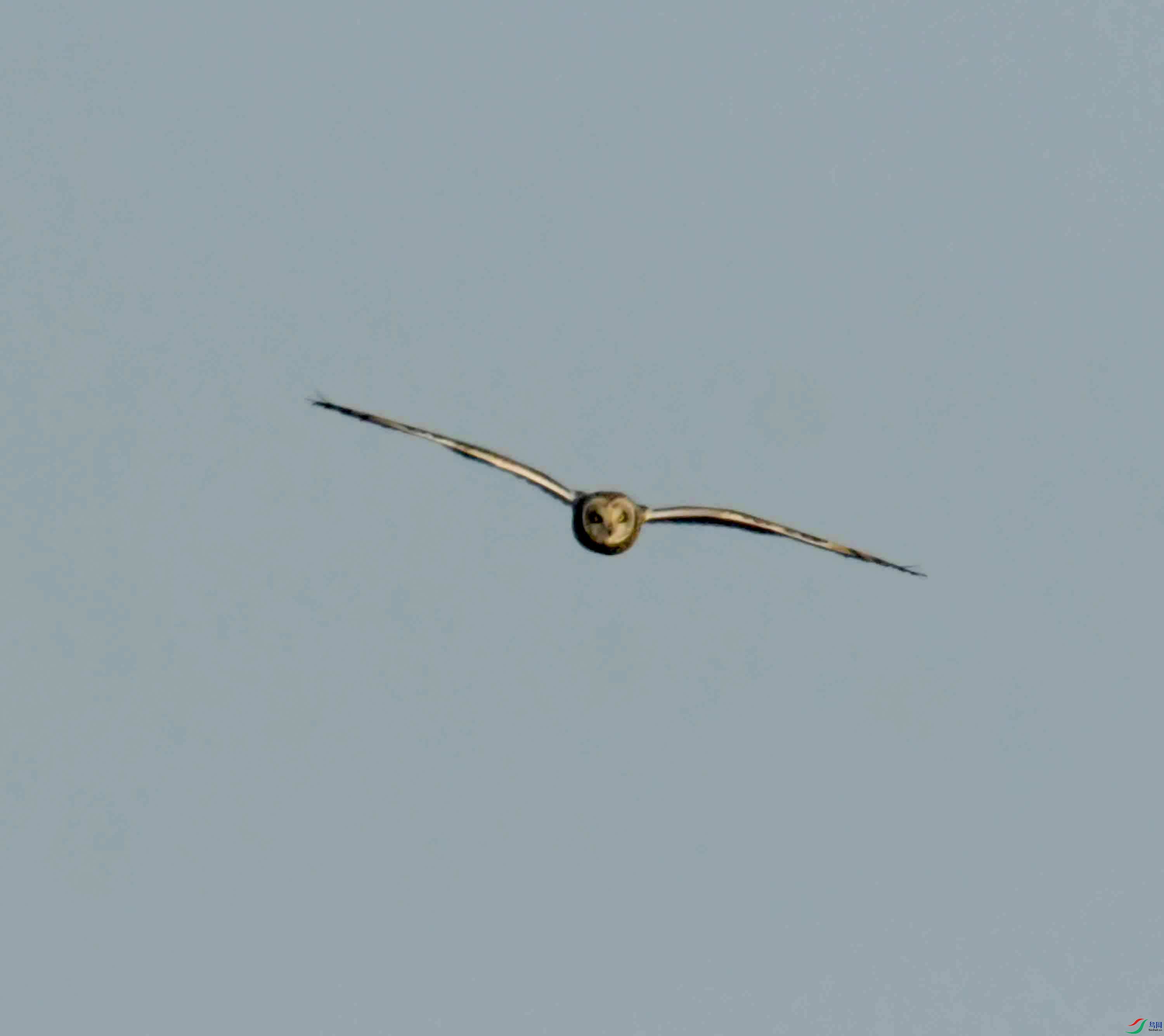 DSC_9353.JPG