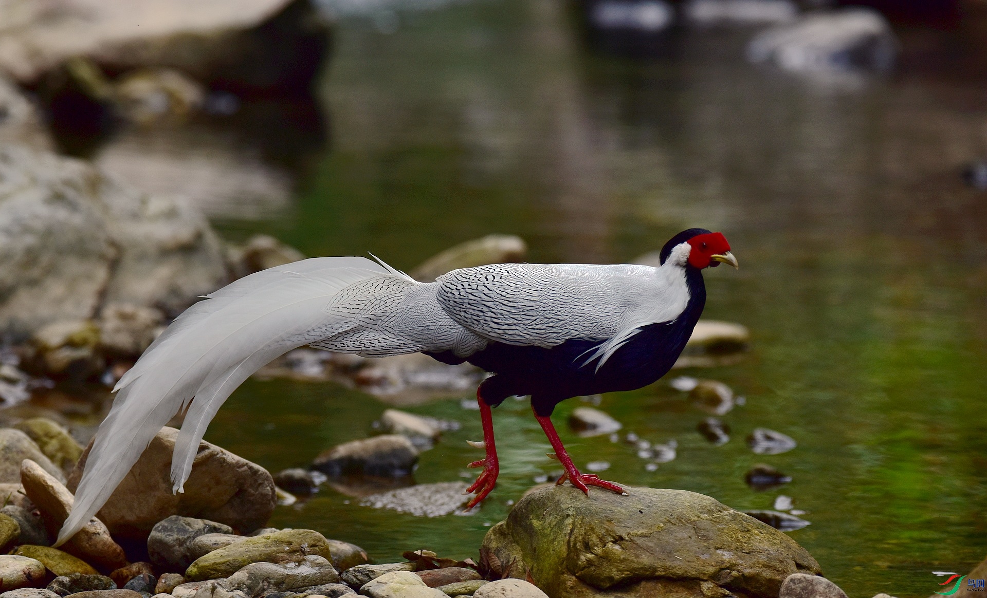 D8I_3530.jpg
