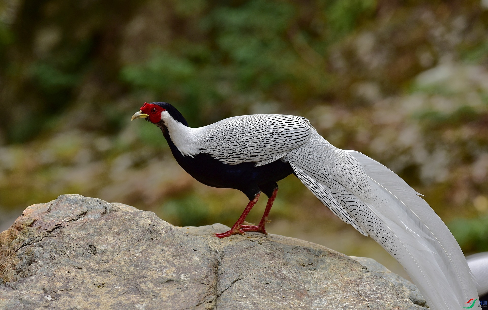D8I_3148.jpg