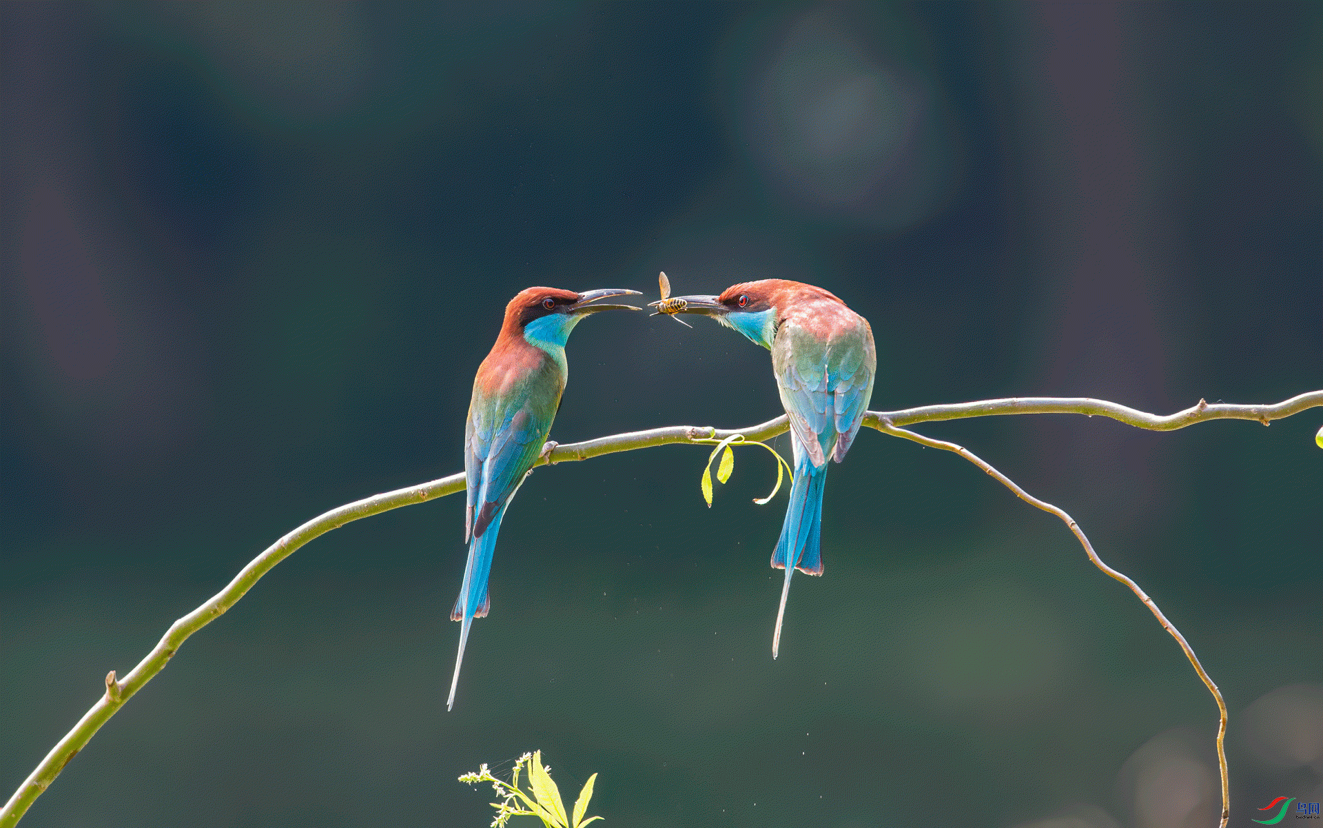 DSC_028922.gif