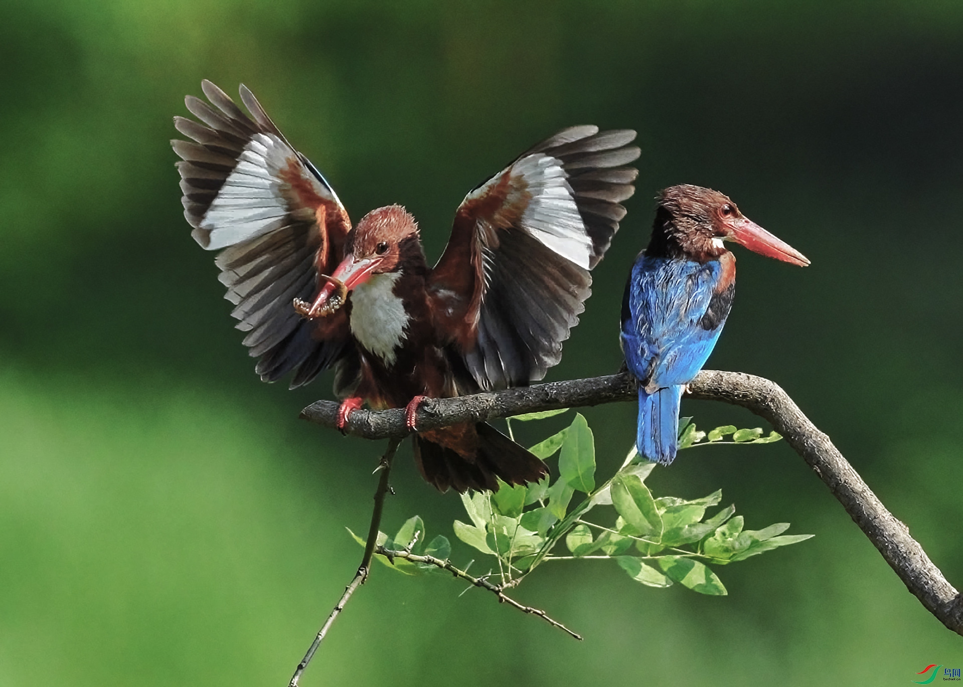 C0537 ���� 2.jpg