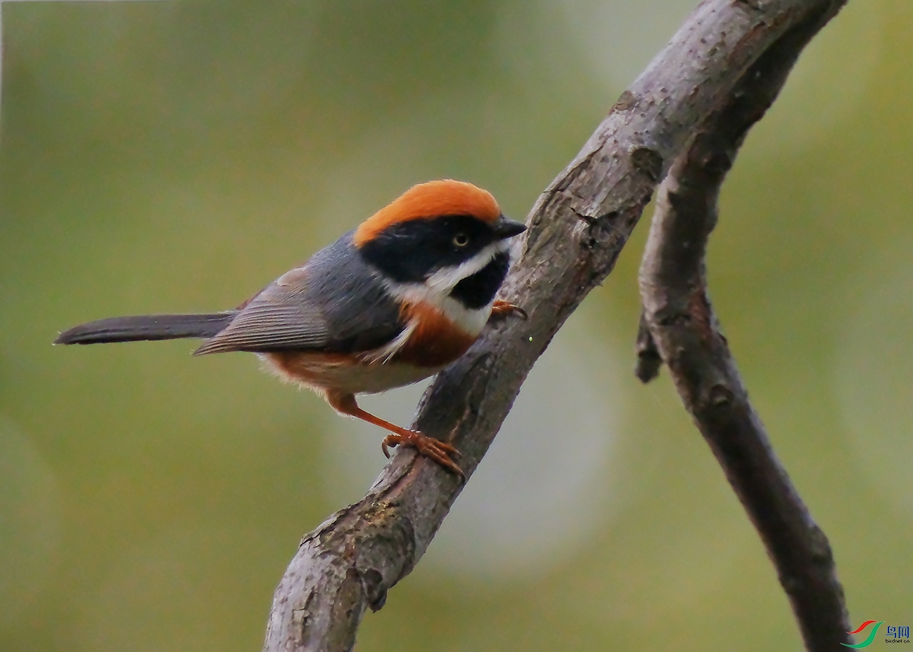 DSCF6825.JPG
