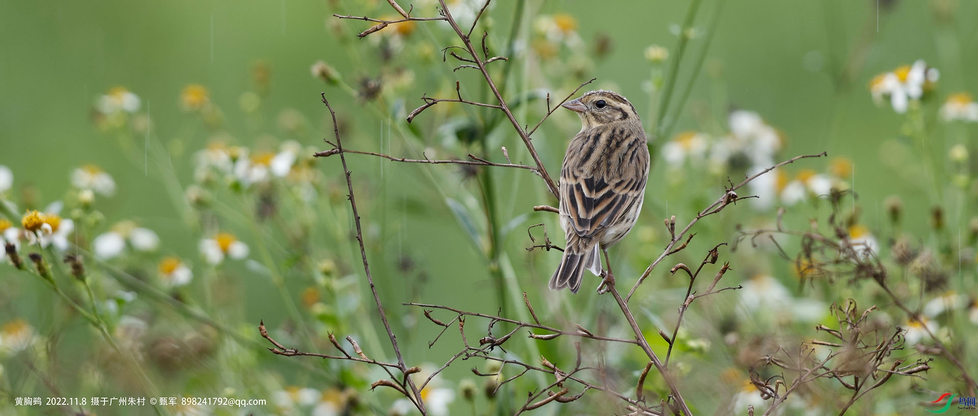 _J9A7853 ����.jpg