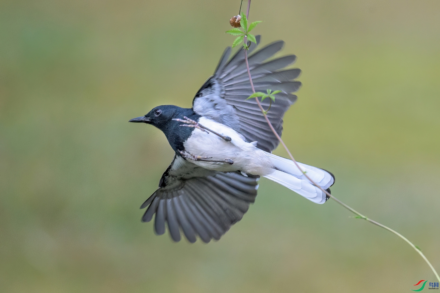 _DSC9960-1.jpg