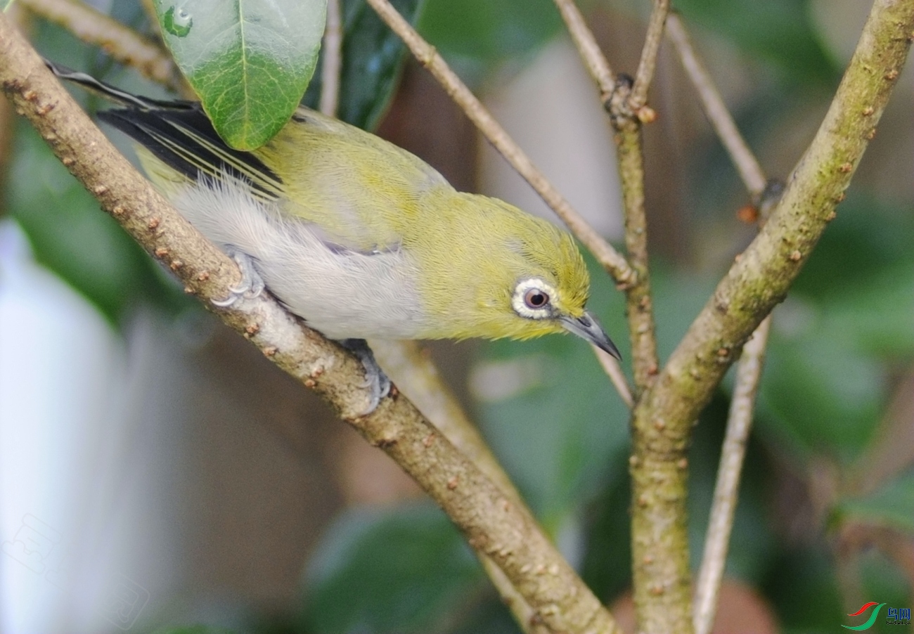 DSC_5629_.jpg