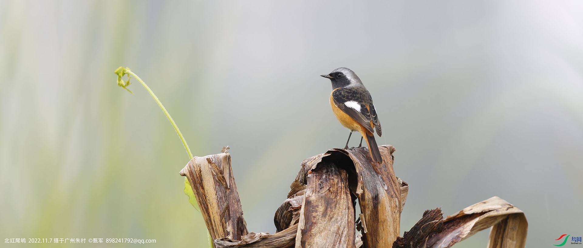 _J9A7052 ����.jpg