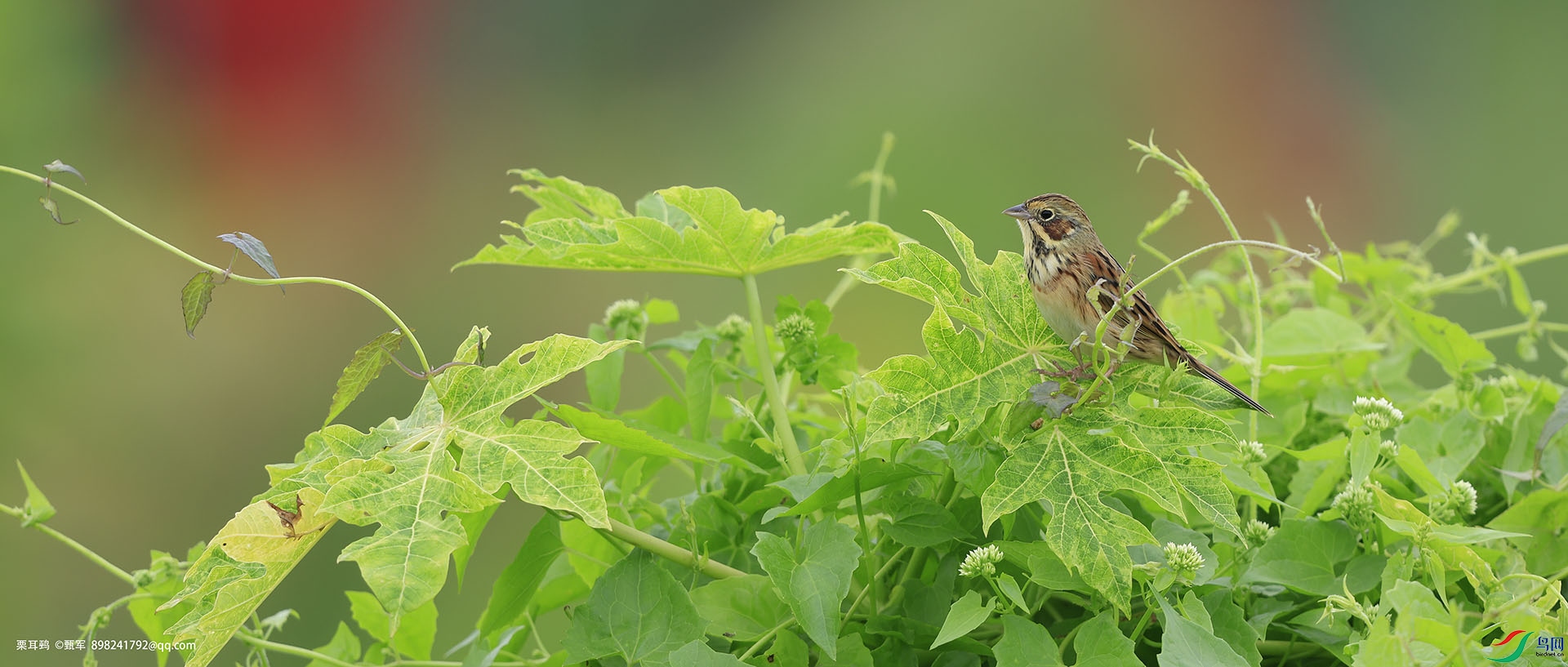 _J9A6918 ����.jpg