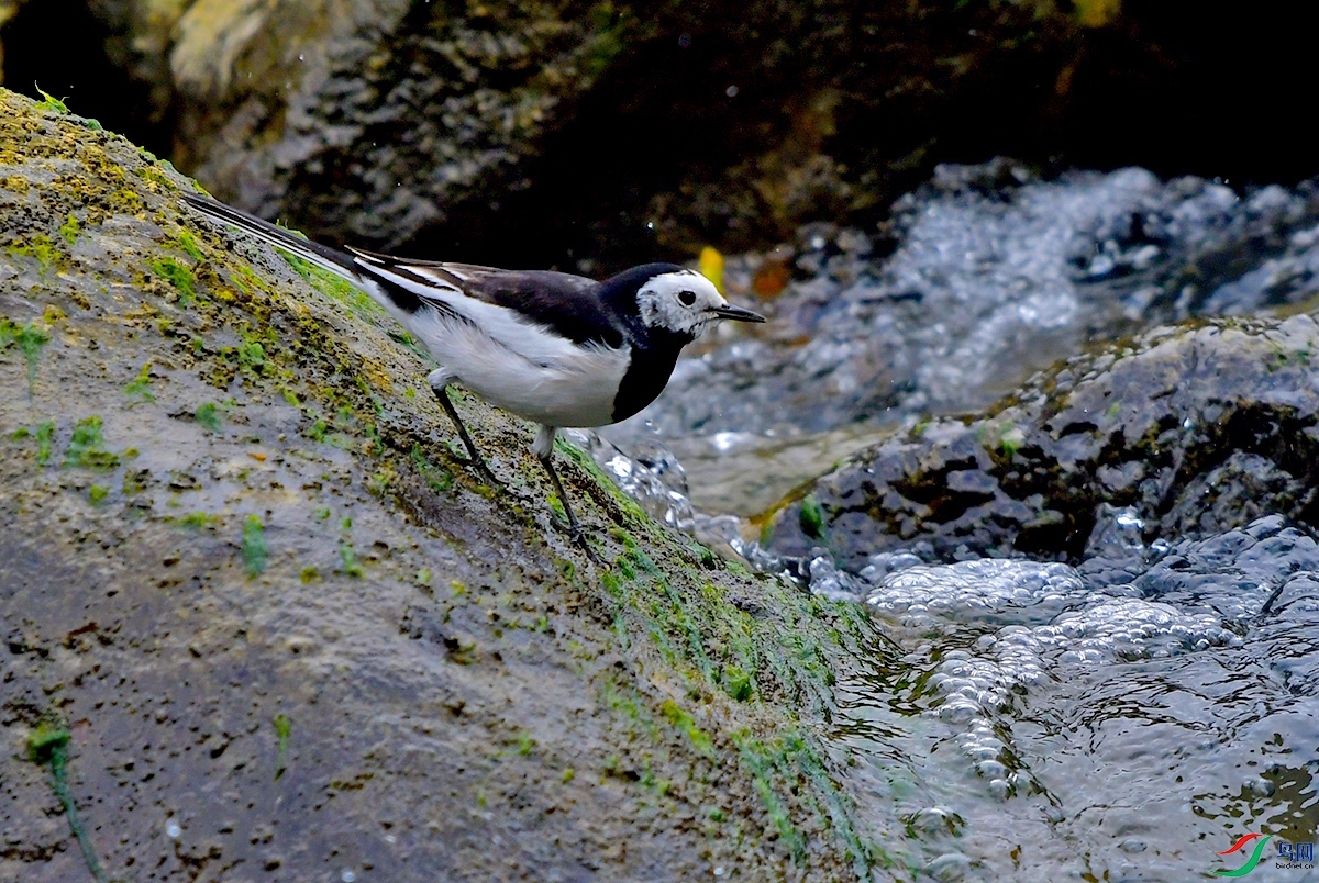 DSC_0742.JPG