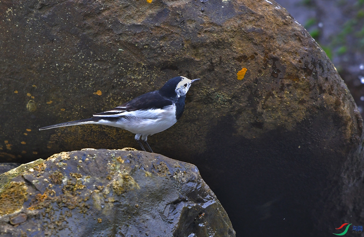 DSC_0845.JPG