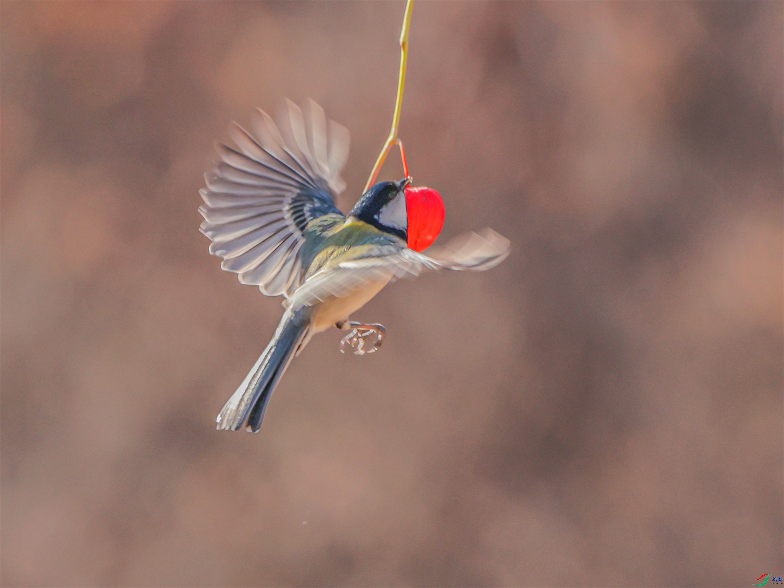 1K3A4357 ����1.jpg