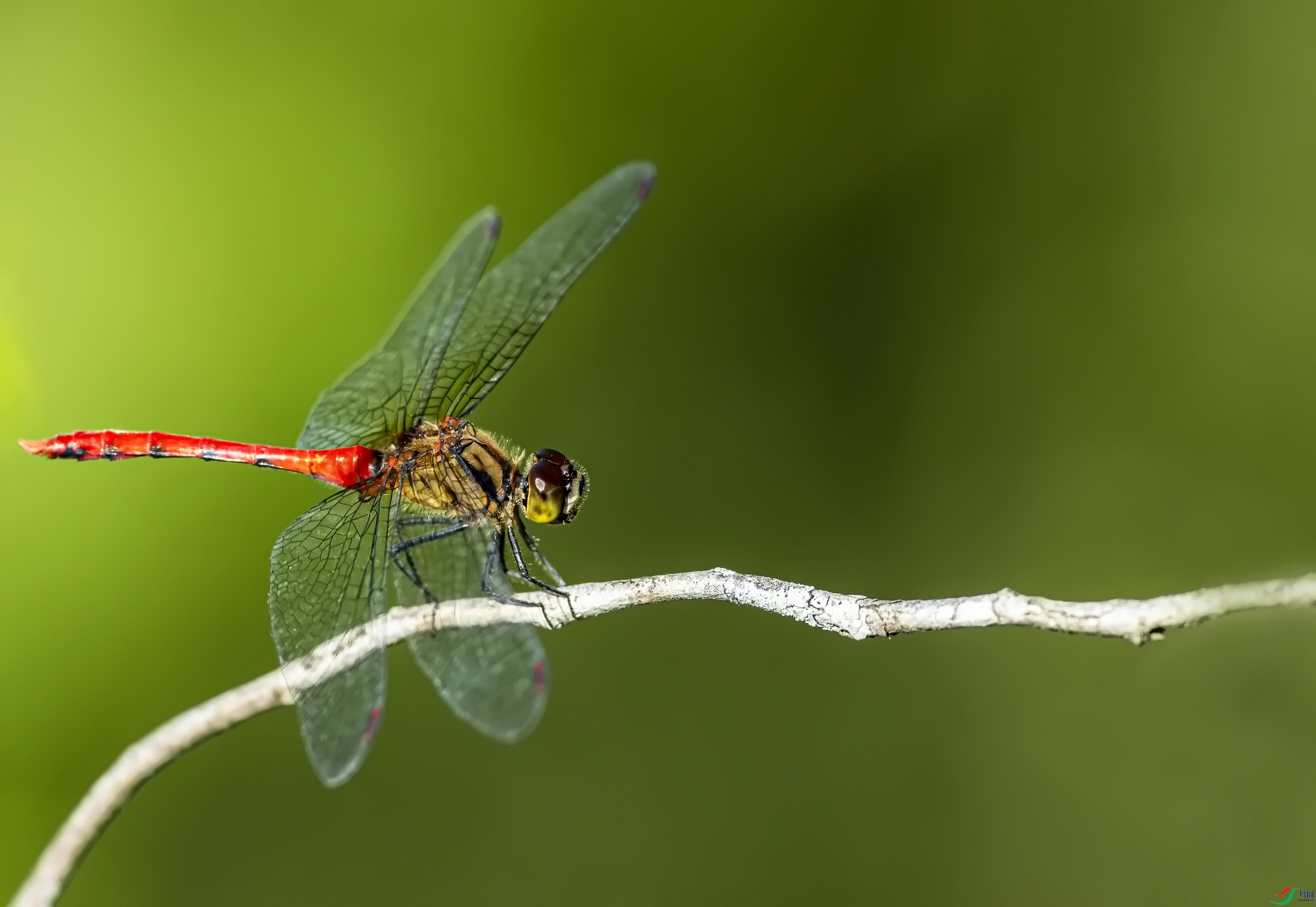 ���� (1)-1.jpg