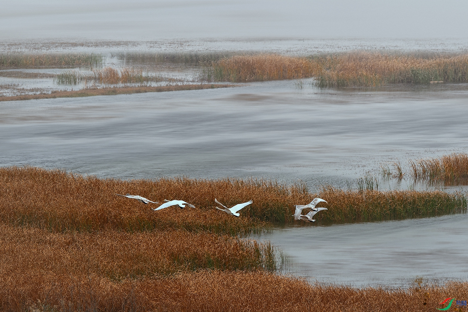 _DSC9946.jpg