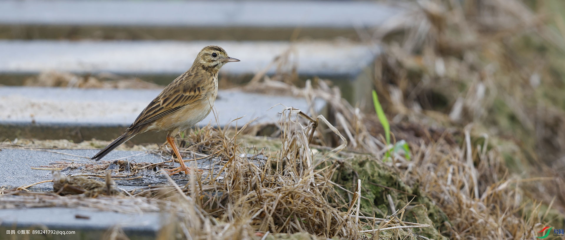 _J9A7762 ����.jpg