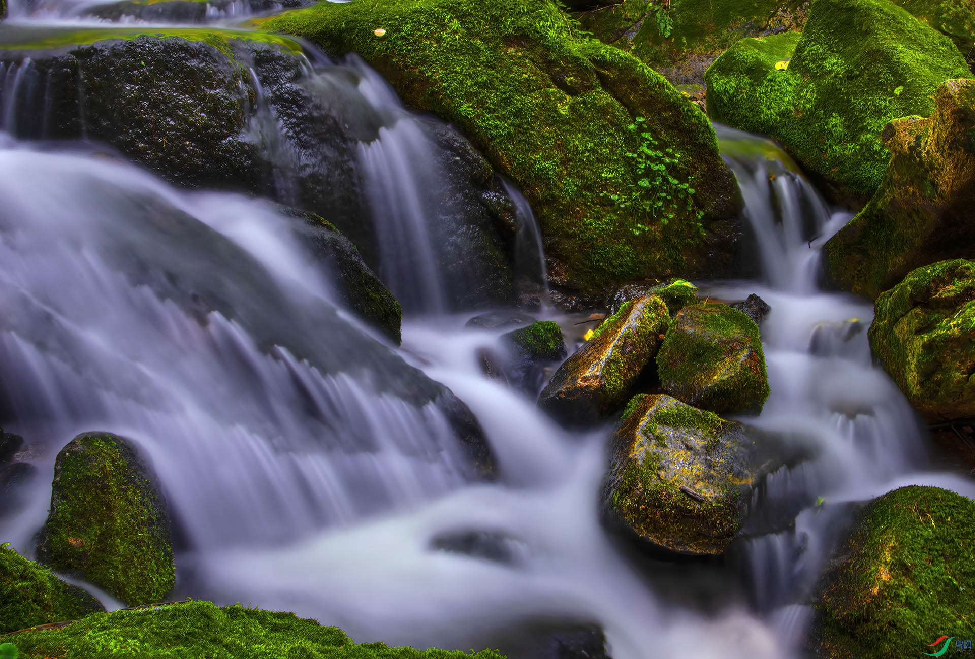 DSC_3934-NEF_DxO_DeepPRIME - ��ʯ��.jpg