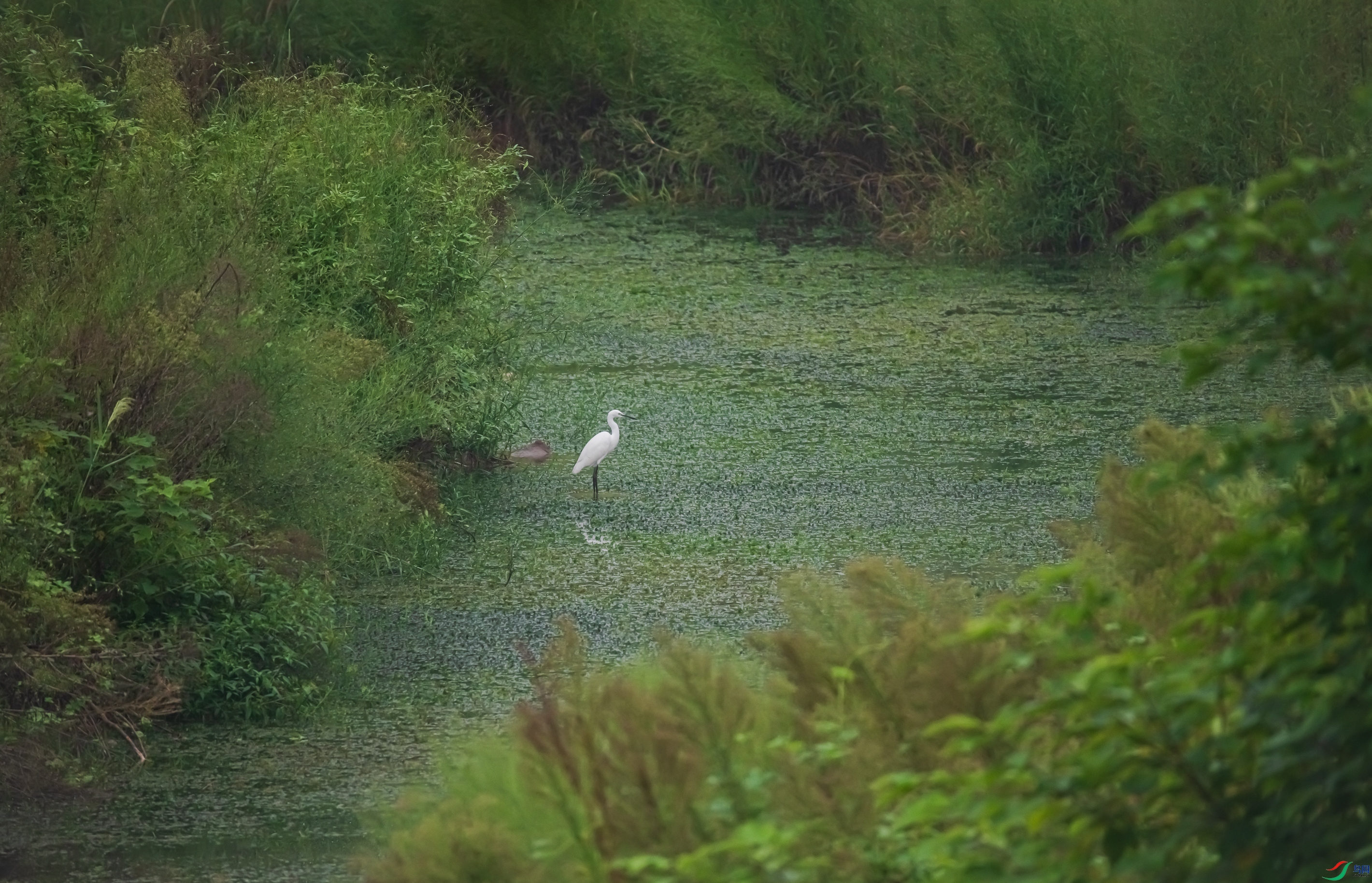 DSC_8893.jpg