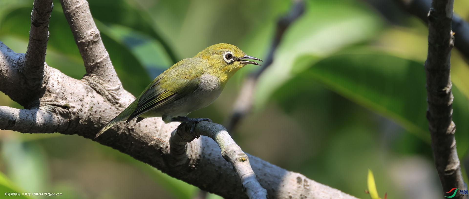 CR7A2366 ����.jpg