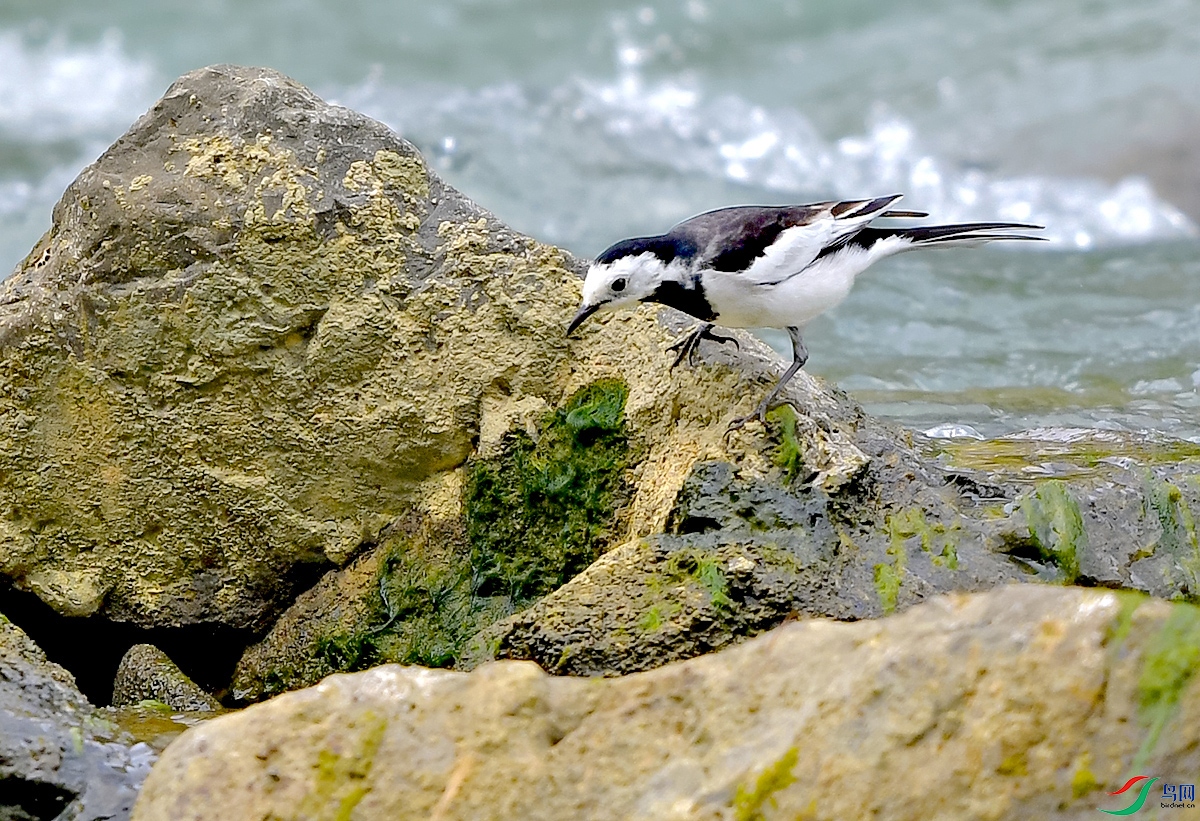 DSC_0712.JPG
