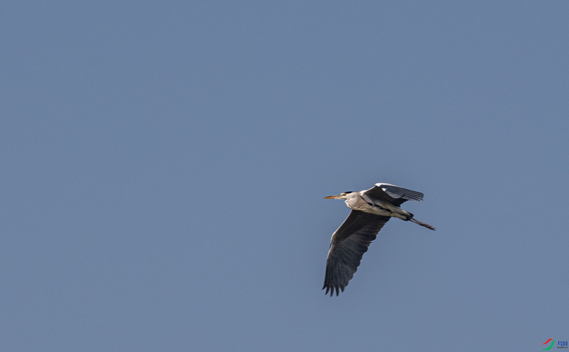 DSC_3338.jpg
