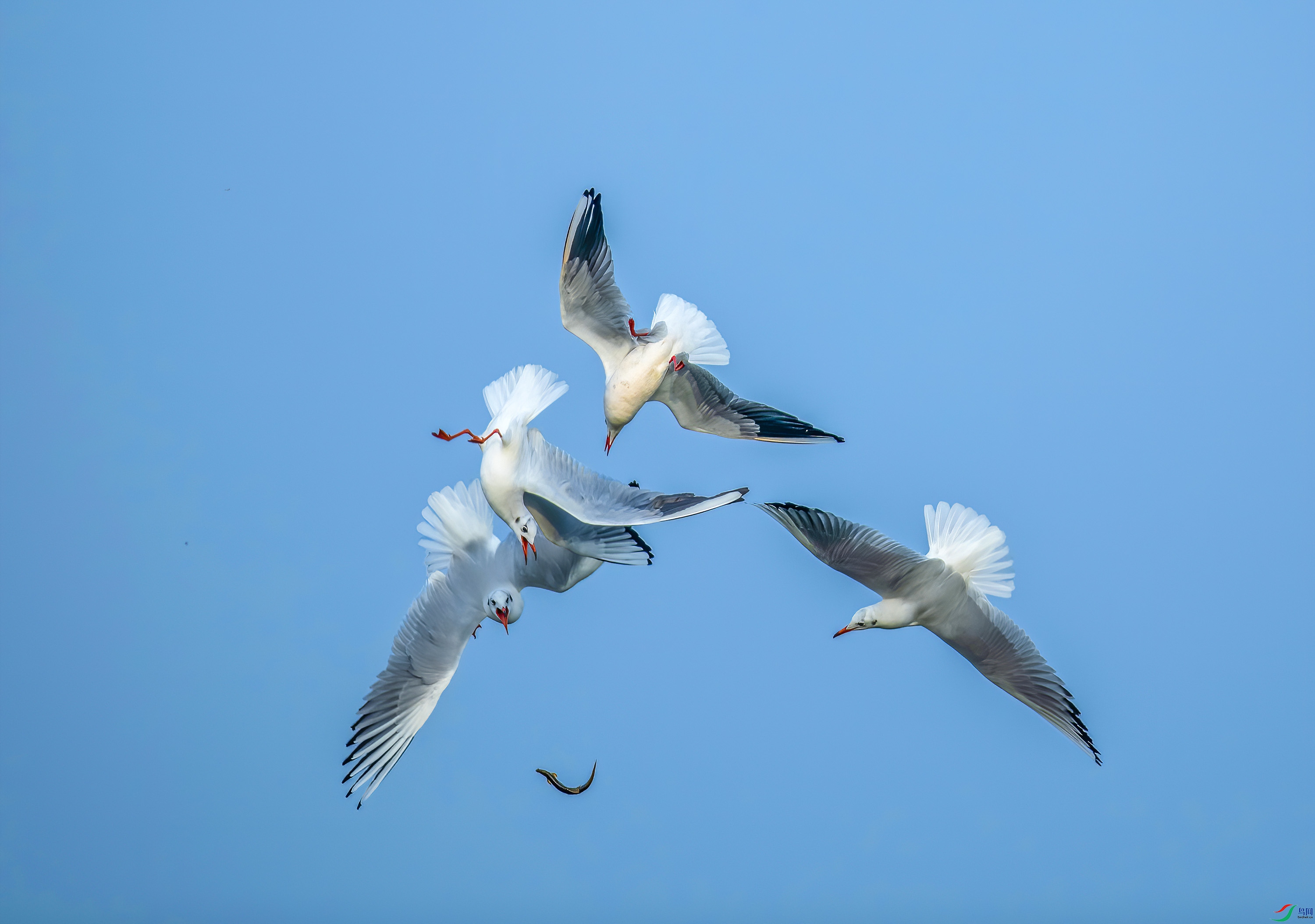 _JLN5990_2     ok.jpg