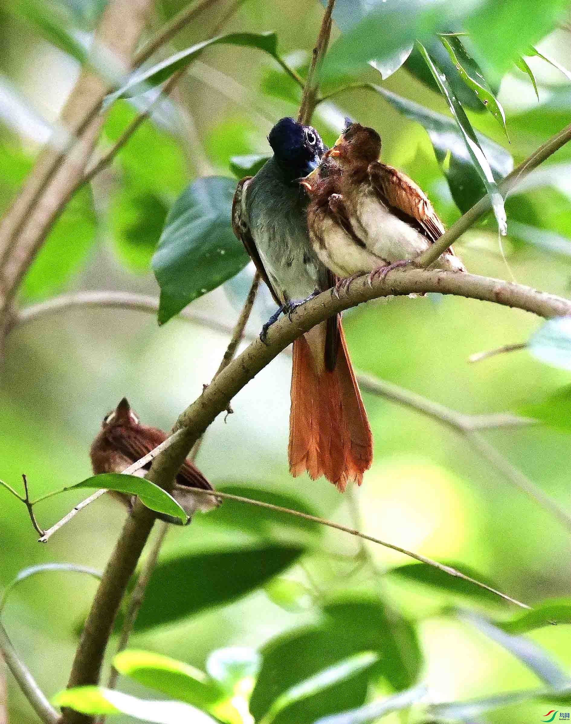 DSC_7508_����.jpg