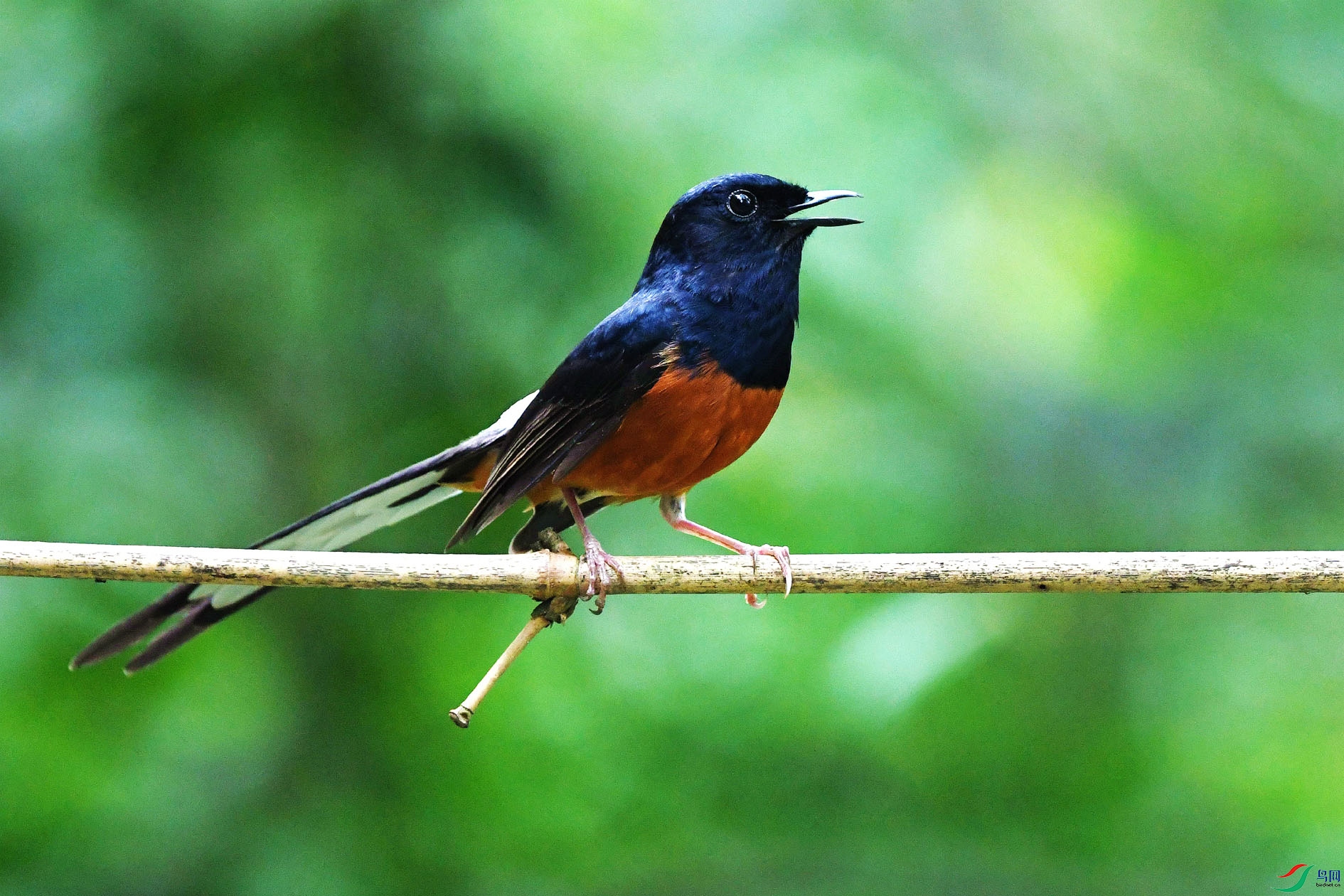 NIKON D5001056_����.jpg