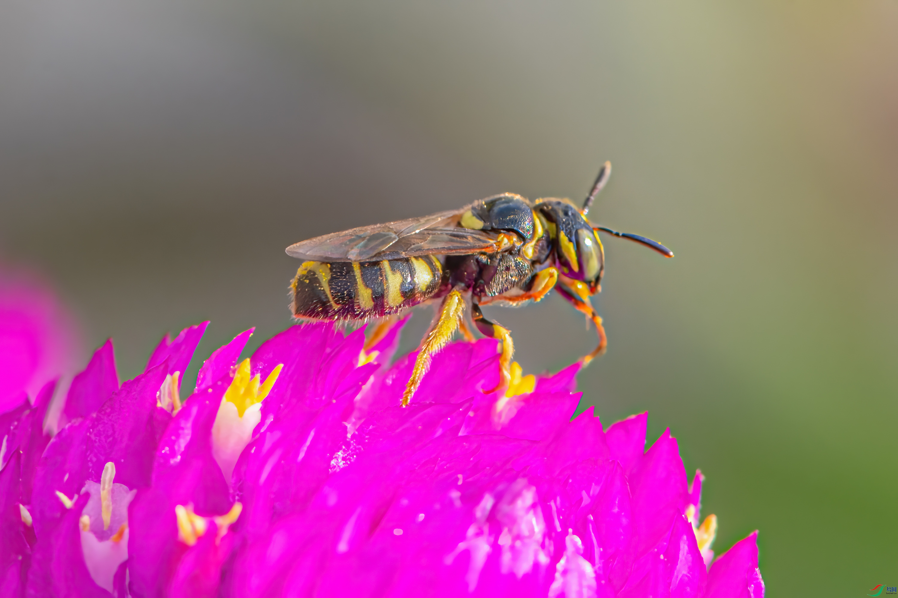 DSC_9158_1.jpg