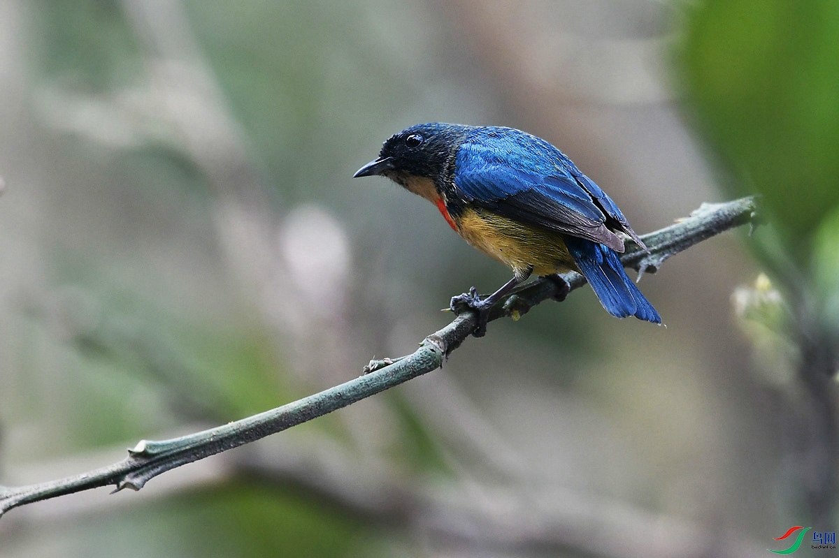 DSC_5498.JPG