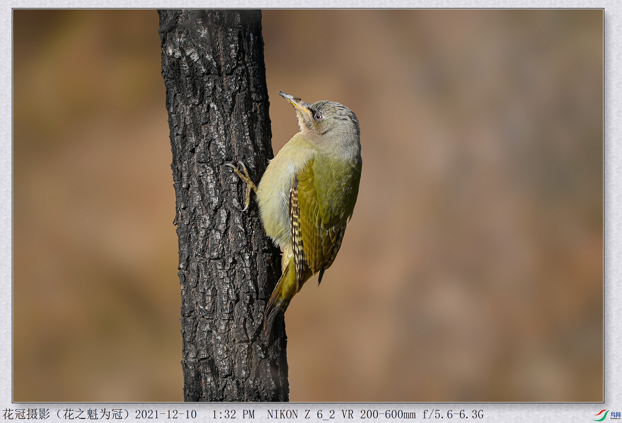 DSC_2456�����黯B-1_����.jpg