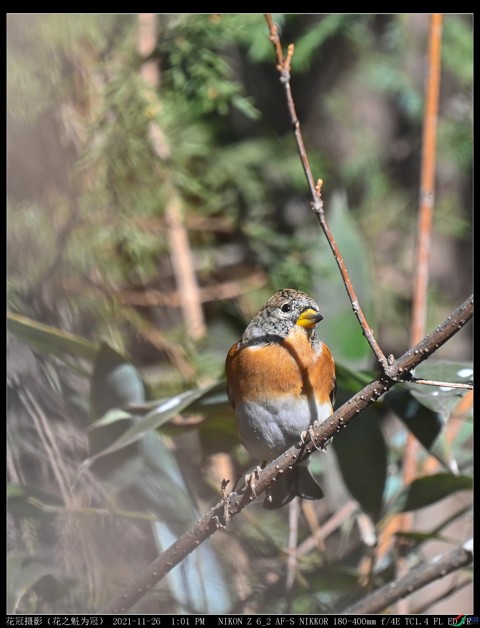 DSC_0712-gigapixel-scale-2_00x-croppedB-1_����.jpg
