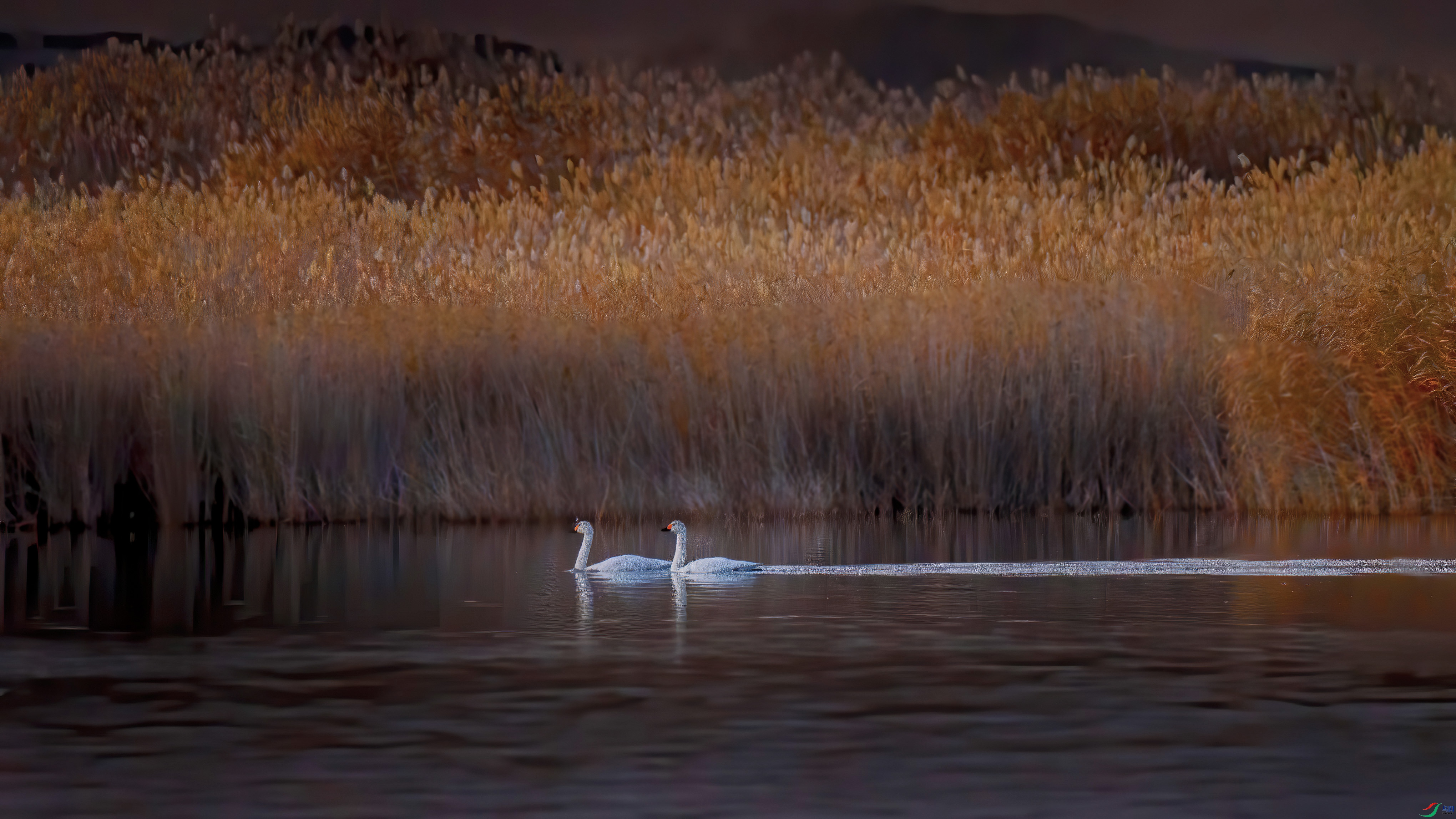 AX2T8506-3.jpg