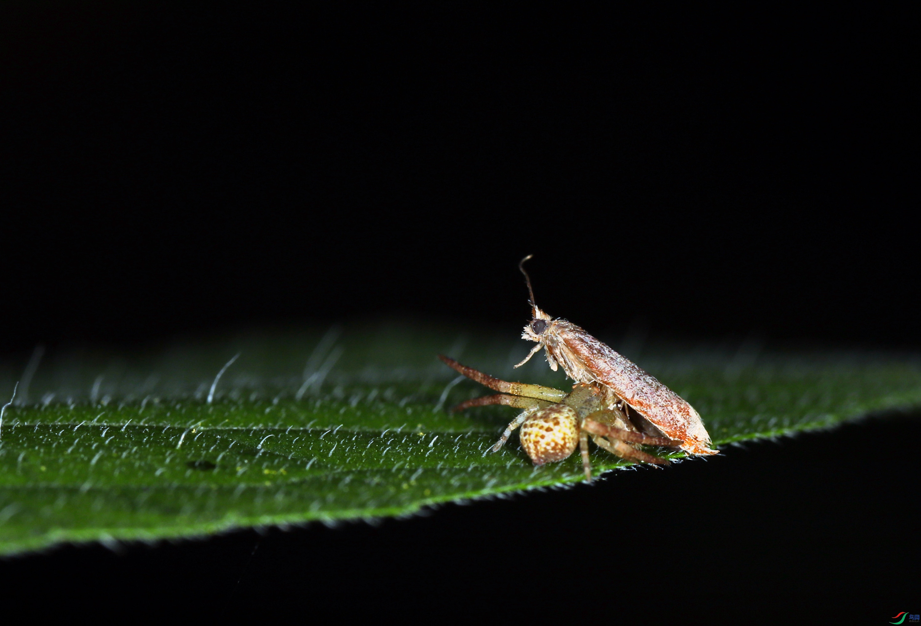 EC6A1340_����.jpg