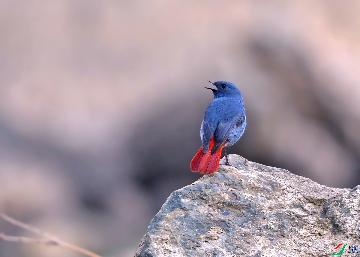 DSC_6137.JPG