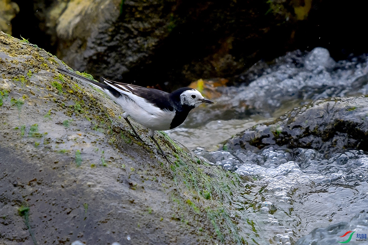 DSC_0741.JPG