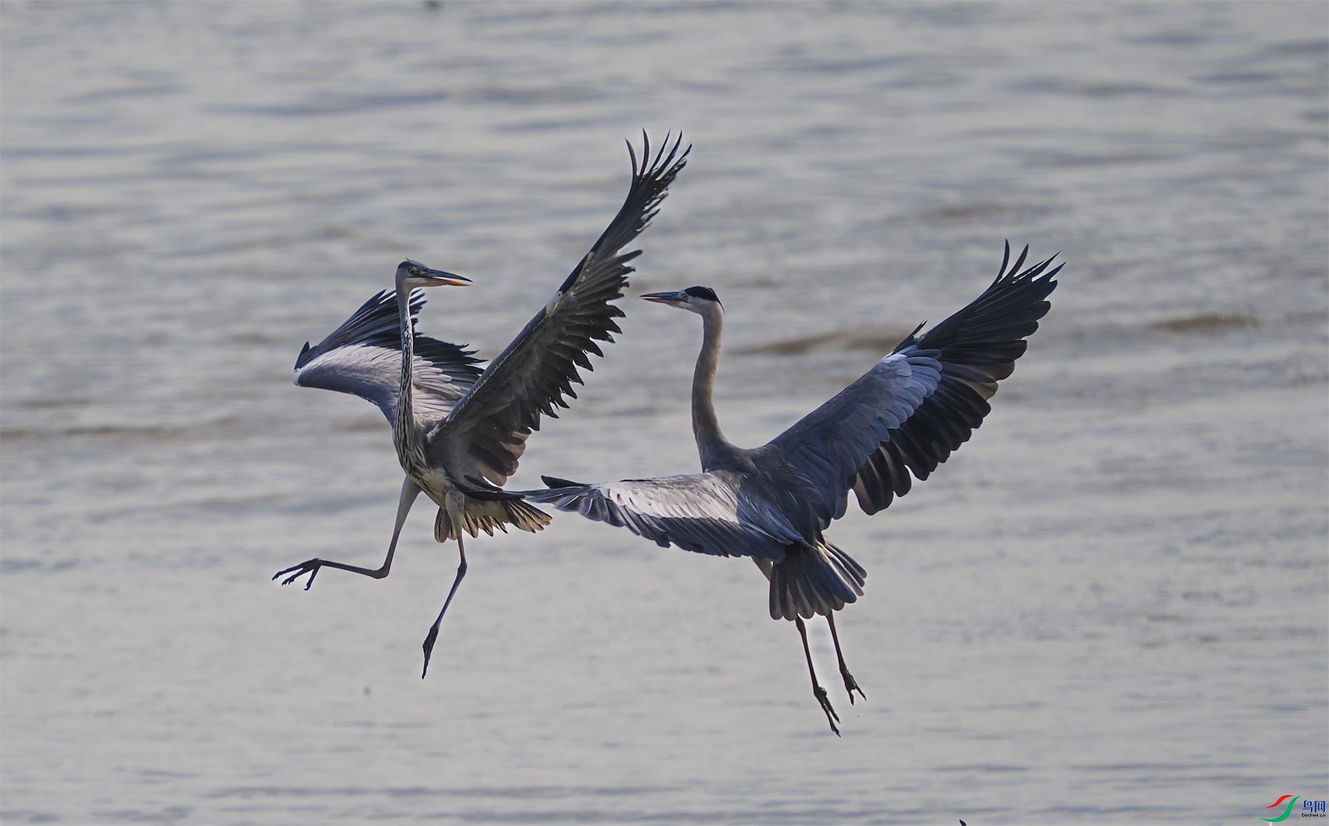 ���ְ�˹OM-1 150-400 f4.5 TC1.25x IS PRO