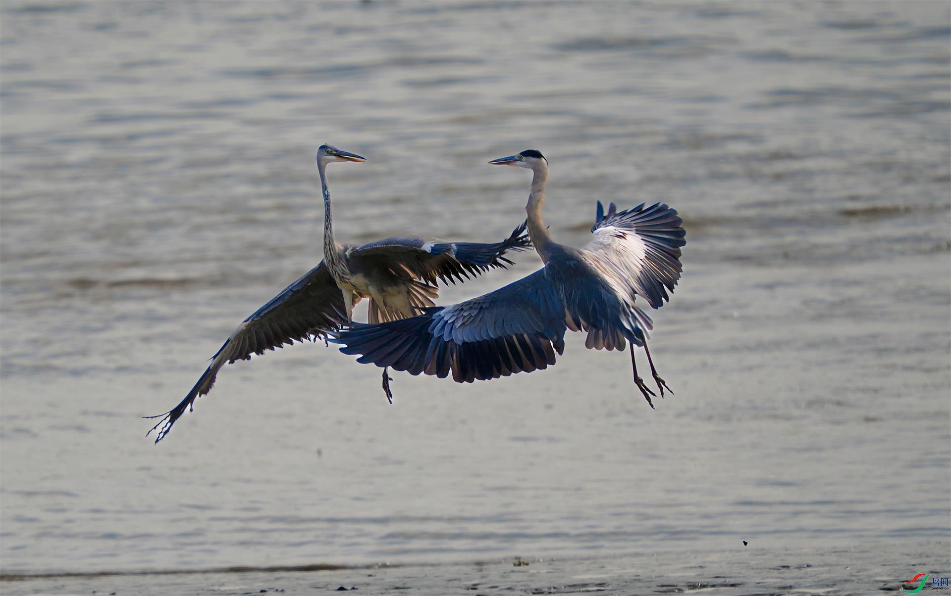 ���ְ�˹OM-1 150-400 f4.5 TC1.25x IS PRO