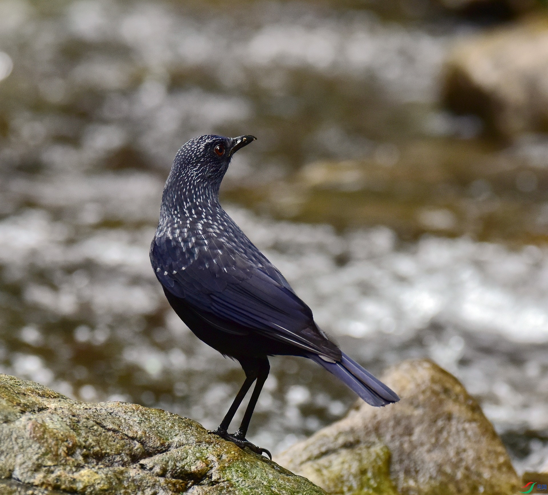 D8I_9670.jpg